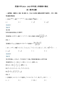 河北省衡水市武强中学2024-2025学年高二上学期期中考试数学试题（Word版附解析）