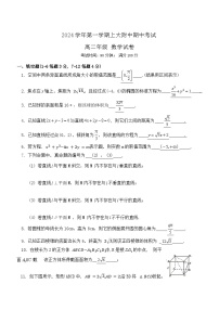 上海大学附属中学2024-2025学年高二上学期期中考试数学试卷