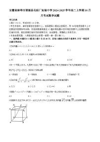 安徽省蚌埠市固镇县毛钽厂实验中学2024-2025学年高二上学期10月月考试数学试题