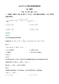 湖南省浏阳市2024-2025学年高一上学期10月联合质量监测数学试卷（Word版附解析）