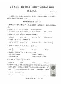 北京市通州区2024-2025学年第一学期高三期中质量检测数学试题及答案