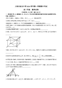 上海市延安中学2024-2025学年高二上学期期中考试数学试卷(无答案)