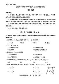 河南省三门峡市2024-2025学年高三上学期11月阶段性考试数学试题