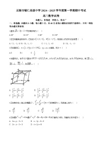 江苏省无锡市辅仁高级中学2024-2025学年高二上学期期中考试数学试卷(无答案)
