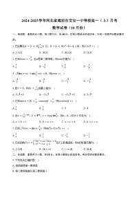 2024-2025学年河北省廊坊市文安一中等校高一（上）月考数学试卷（10月份）（含答案）