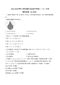 2024-2025学年上海市徐汇区位育中学高一（上）月考数学试卷（10月份）（含答案）
