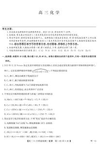 2025届九师联盟高三上学期11月联考数学试题+答案