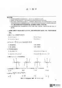 九师联盟2024-2025学年高三上学期11月联考数学试卷及答案