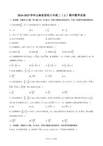 2024～2025学年云南省昆明市昆明八中高二（上）期中数学试卷（含答案）