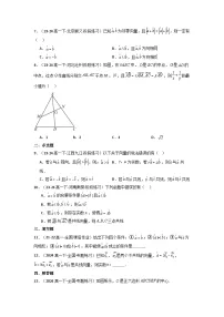 2025高考数学一轮复习讲义(新高考通用版)第01讲平面向量的概念及其线性运算(含新定义解答题)(分层精练)(学生版+解析)