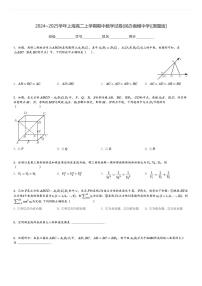 2024～2025学年上海高二上学期期中数学试卷(民办南模中学)[原题+解析版]