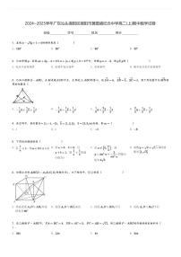 2024～2025学年广东汕头潮阳区潮阳市黄图盛纪念中学高二(上)期中数学试卷[原题+解析]