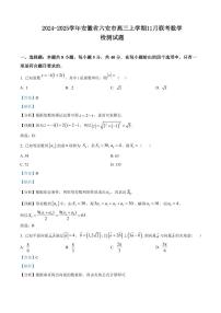 2024-2025学年安徽省六安市高三上学期11月联考数学检测试题（含解析）