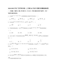 2024-2025学年广西平果市高二上学期10月份月考数学质量检测试卷（含解析）