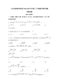 山东省淄博市高青县2024-2025学年高三上学期期中数学质量检测试题
