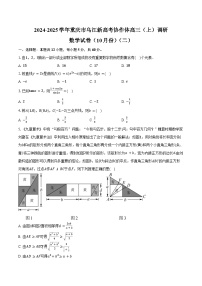 2024-2025学年重庆市乌江新高考协作体高三（上）调研数学试卷（10月份）（二）（含答案）