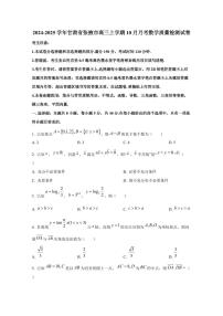2024-2025学年甘肃省张掖市高三上学期10月月考数学质量检测试卷（含解析）