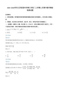 2024-2025学年江苏省泰州市靖江市高三上学期11月期中数学调研检测试题（含解析）