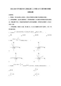 2024-2025学年重庆市九龙坡区高三上学期10月大联考数学质量检测试题