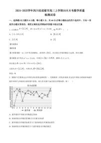 2024-2025学年四川省成都市高三上学期10月月考数学质量检测试卷（含解析）