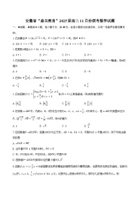 安徽省鼎尖教育联盟2025届高三上学期11月期中联考试题 数学试题（含答案）