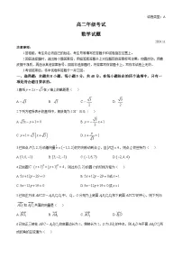 山东省泰安市2024-2025学年高二上学期11月期中考试数学试题