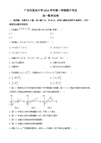 精品解析：广东省广州市真光中学2024-2025学年高一上学期期中考试数学试卷