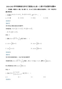 湖南省长沙市第一中学2024-2025学年高一上学期11月期中考试数学试卷（解析版）