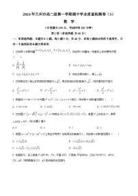 甘肃省兰州第一中学2024-2025学年高二上学期11月期中考试数学试卷（Word版附解析）