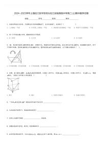 2024～2025学年上海松江区华东师大松江实验高级中学高二(上)期中数学试卷[原题+解析]