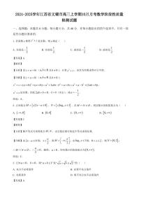 2024-2025学年江苏省无锡市高三上学期10月月考数学阶段性质量检测试题（含解析）