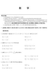 2025深圳盟校联盟高一上学期11月期中考试数学PDF版含解析（可编辑）