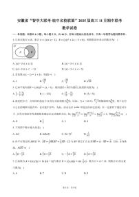 安徽省“智学大联考·皖中名校联盟”2025届高三(上)期中联考数学试卷(含答案)