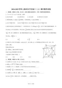 2024～2025学年上海市长宁区高三(上)期中数学试卷(含答案)
