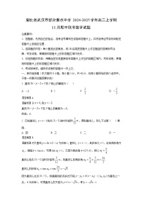 湖北省武汉市部分重点中学2024-2025学年高二上学期11月期中联考数学试卷（解析版）