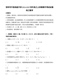 广东省深圳市中荟高级中学2024-2025学年高三上学期期中考试数学试题