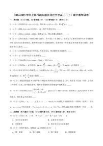 2024-2025学年上海市浦东新区洋泾中学高三（上）期中数学试卷（含解析）