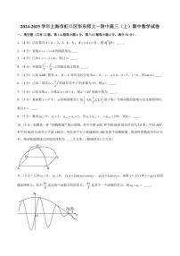 2024-2025学年上海市虹口区华东师大一附中高三（上）期中数学试卷（含解析）