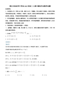 重庆市杨家坪中学2024-2025学年高三上学期期中模拟考试数学试卷（Word版附解析）