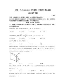 山东省青岛第十九中学2024～2025学年高三(上)期中数学试卷(含答案)