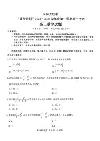 河南省驻马店市环际大联考“逐梦计划”2024-2025学年高二上学期11月期中考试数学试卷（PDF版附答案）