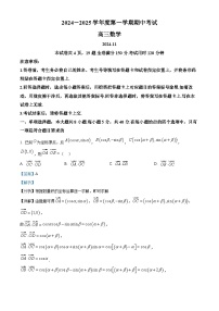 山东省青岛市黄岛区2025届高三上学期11月期中考试数学试卷（Word版附解析）