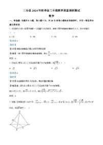四川省绵阳市三台县2024-2025学年高二上学期期中考试数学试卷（Word版附解析）