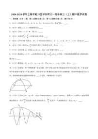 2024～2025学年上海市虹口区华东师大一附中高三(上)期中数学试卷(含解析)