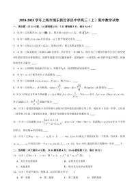 2024～2025学年上海市浦东新区洋泾中学高三(上)期中数学试卷(含解析)