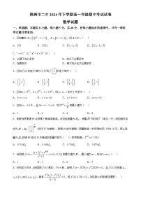 湖南省株洲市第二中学2024-2025学年高一上学期期中考试数学试卷