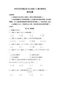 四川省泸州市龙马潭区2024-2025学年高二上学期11月期中考试数学试题