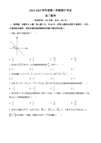 2025茂名电白区高二上学期期中考试数学含解析