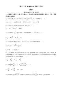 广西南宁市第二中学2024～2025学年高三(上)11月月考数学试卷(含解析)