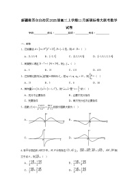 新疆维吾尔自治区2025届高三上学期11月新课标卷大联考数学试卷